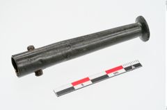 Foto von Bronzeortband (NHMW-PRAE-024361)